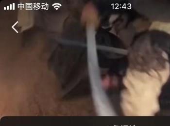 如何查看抖音中的访客评论记录(抖音怎么看你的访客)