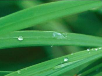 mac挂载移动硬盘可以读写的方法