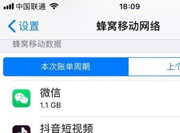 怎么设置iPhone苹果手机禁止某App使用流量