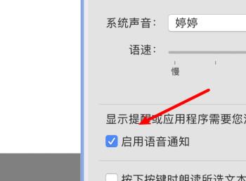 如何启用mac电脑中的语音通知功能(tt语音mac版)