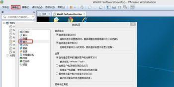 vmware:怎么自动设置vmware客户机分辨率(vmware16设置)