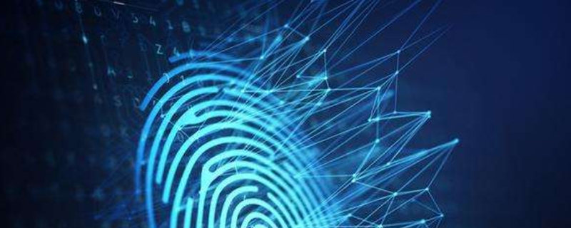 指纹识别技术原理