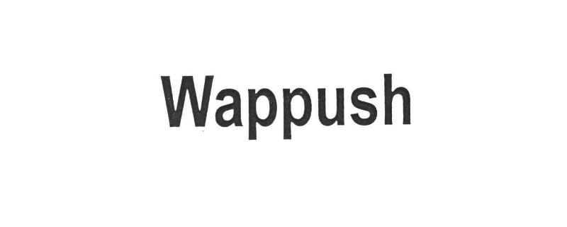 wap push是什么短信的什么功能