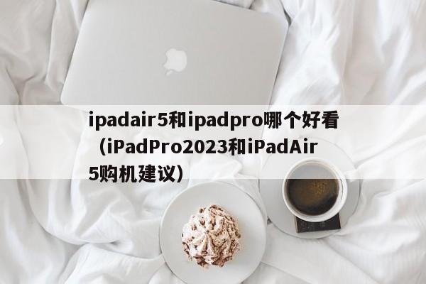 ipadair5和ipadpro哪个好看