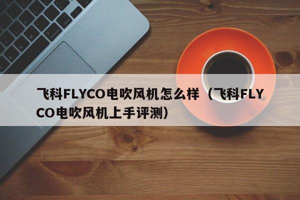 飞科FLYCO电吹风机怎么样