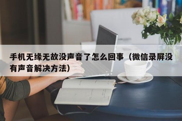 手机无缘无故没声音了怎么回事