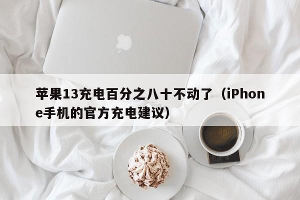 iPhone手机的官方充电建议(苹果13充电百分之八十不动了)