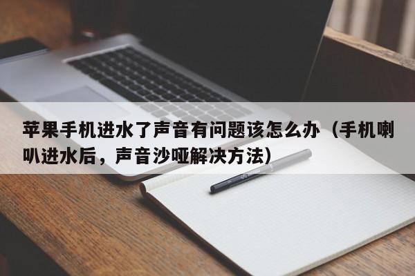 苹果手机进水了声音有问题该怎么办