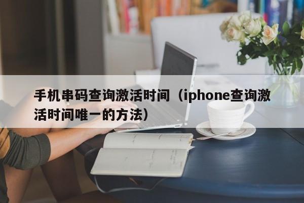 手机串码查询激活时间