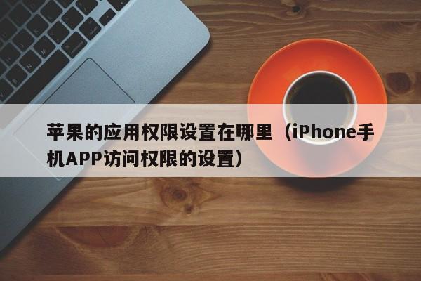 iPhone手机APP访问权限的设置(苹果的应用权限设置在哪里)