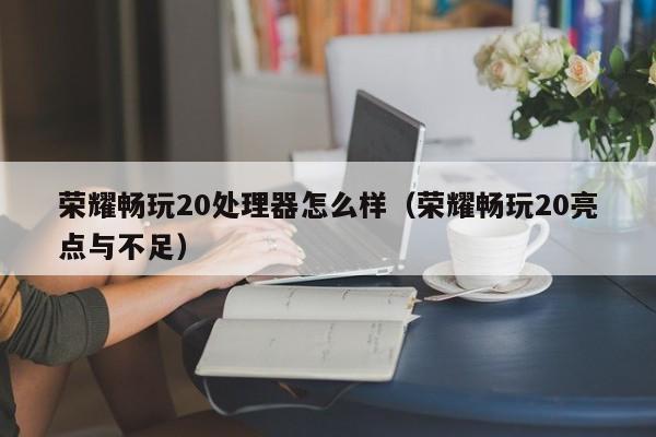 荣耀畅玩20亮点与不足(荣耀畅玩20处理器怎么样)