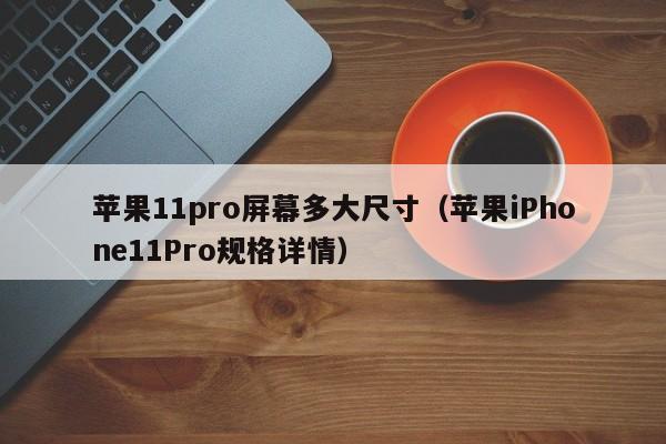 苹果11pro屏幕多大尺寸