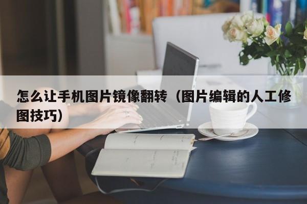 图片编辑的人工修图技巧(怎么让手机图片镜像翻转)