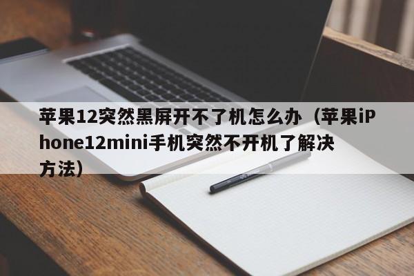 苹果12突然黑屏开不了机怎么办