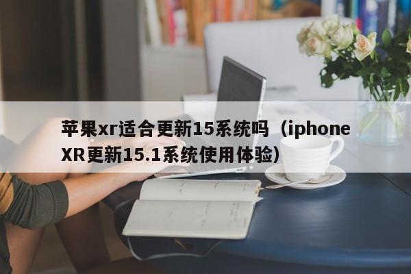 iphoneXR更新15.1系统使用体验(苹果xr适合更新15系统吗)