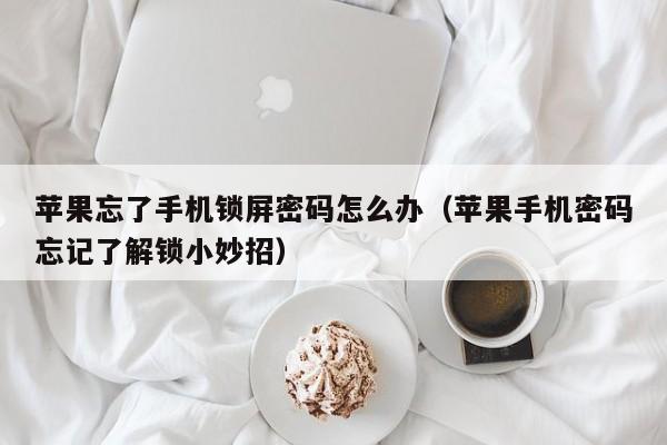 苹果手机密码忘记了解锁小妙招(苹果忘了手机锁屏密码怎么办)