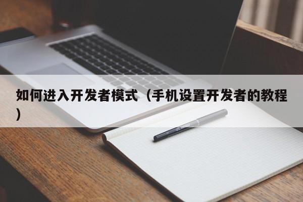 如何进入开发者模式