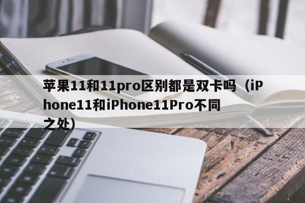 iPhone11和iPhone11Pro不同之处(苹果11和11pro区别都是双卡吗)